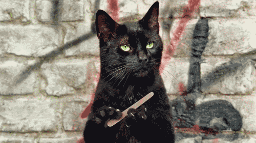 cat filing nails spooky animated gif