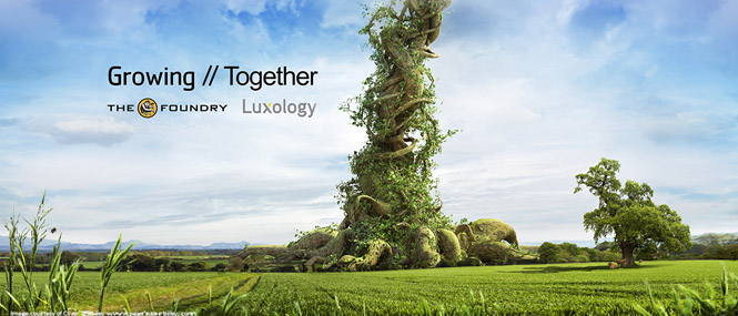 Foundry and Luxology Merge