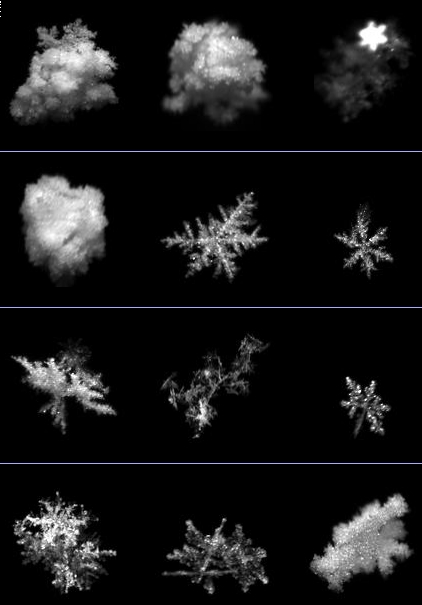 snow flakes